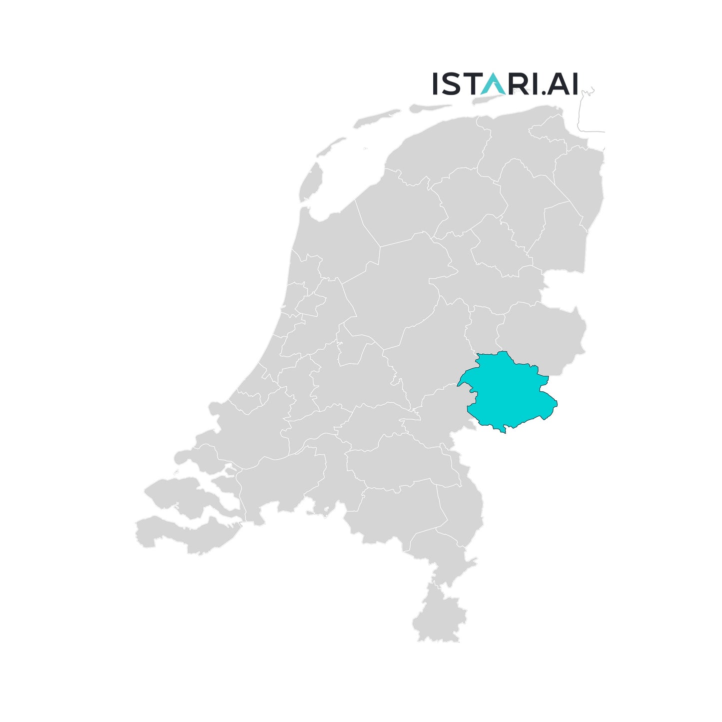Artificial Intelligence AI Company List Achterhoek Netherlands