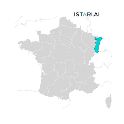 Artificial Intelligence AI Company List Alsace France