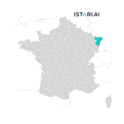 Artificial Intelligence AI Company List Bas-Rhin France