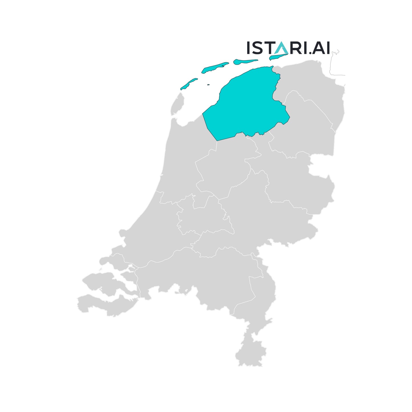 Artificial Intelligence AI Company List Friesland (NL) Netherlands