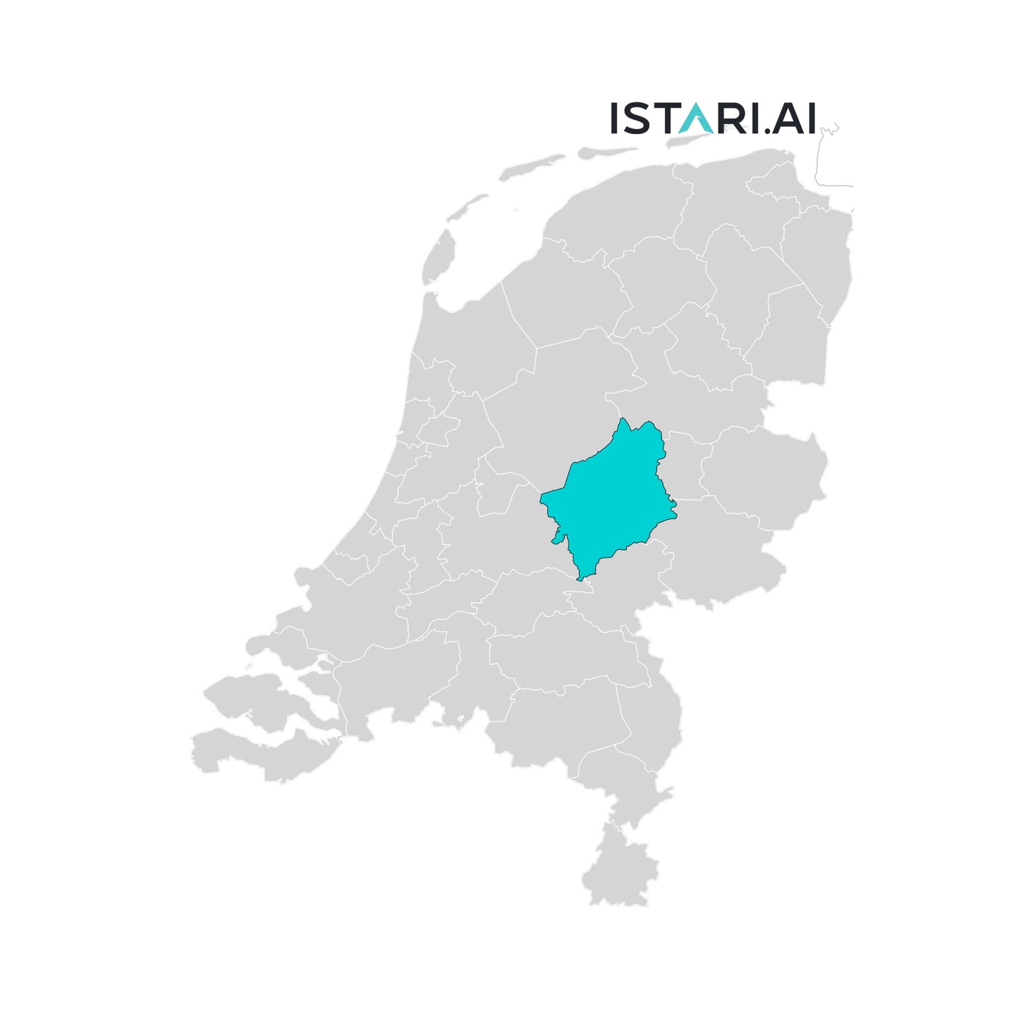 Artificial Intelligence AI Company List Veluwe Netherlands
