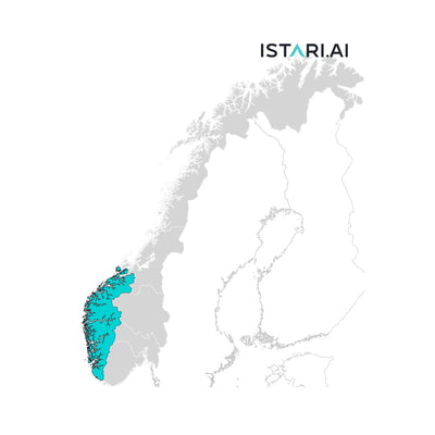 Artificial Intelligence AI Company List Vestlandet Norway