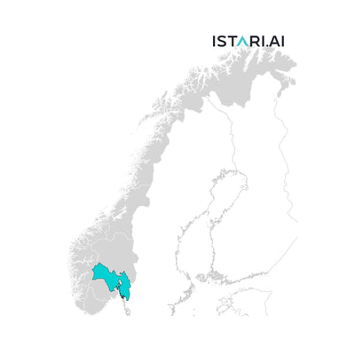 Artificial Intelligence AI Company List Viken Norway
